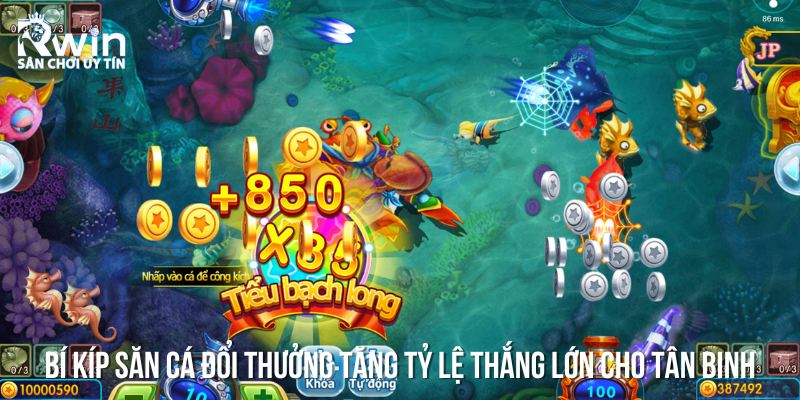 Bật mí một vài bí kíp săn cá cực đã cho những tay cược cừ khôi