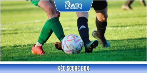 Kèo Score Box - Cách Đọc Và Mẹo Thắng Cược 99% Cho Newbie