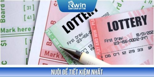 4 Chiến Thuật Nuôi Đề Tiết Kiệm Nhất Và Đảm Bảo Thắng 99%